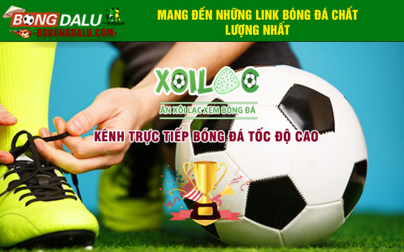 Mang đến những link bóng đá chất lượng nhất
