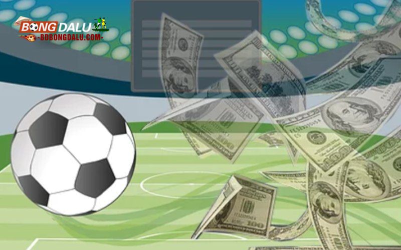 Sức hút của cá độ bóng đá